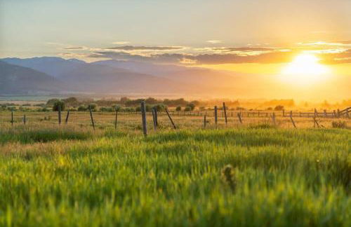 Upscale Hot Tub Wildlife Views - Photo 7