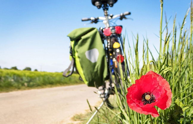 6 Person Holiday Home in Ahus - Photo 12