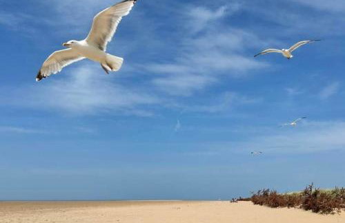 Seaside Serenity - Photo 37