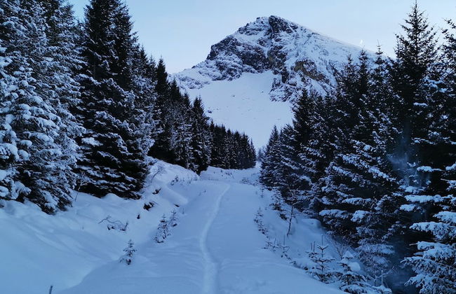 Oppmyre Camping - Foto 12