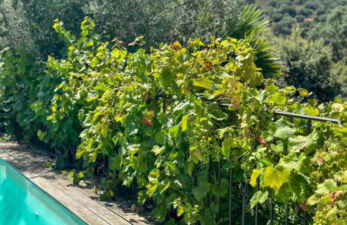 Domaine Villas Celia - Foto 35