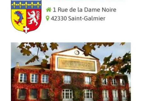 Confort moderne dans un gîte historique à Saint-Galmier - FR-1-496-276 - Foto 26