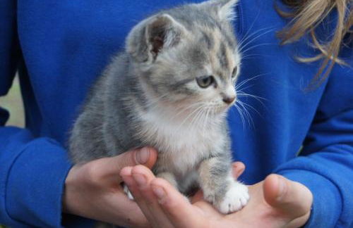 Bio-Erlebnisbauernhof Doll - Foto 12