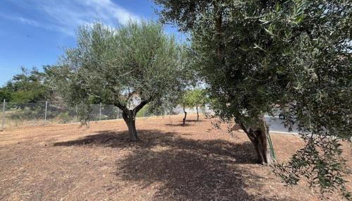 Casa Plati 2 - Foto 5