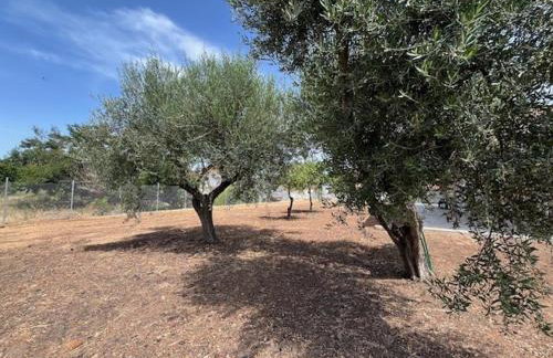 Casa Plati 1 - Foto 8