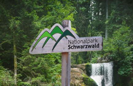 Ferienwohnung Panter- Traumaussicht im Schwarzwald - Foto 16