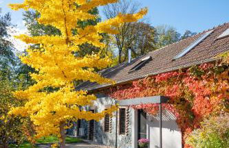 Modernes Gartenatelier am Mühlenfließ - Foto 41