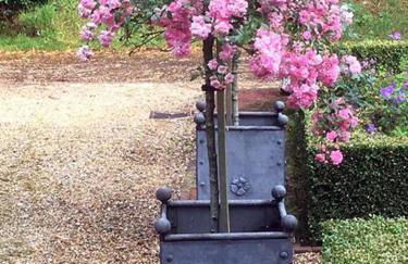 Highfield Lodge - Photo 18