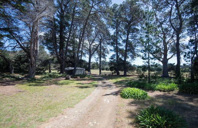 Lauriston Homestead - Foto 10