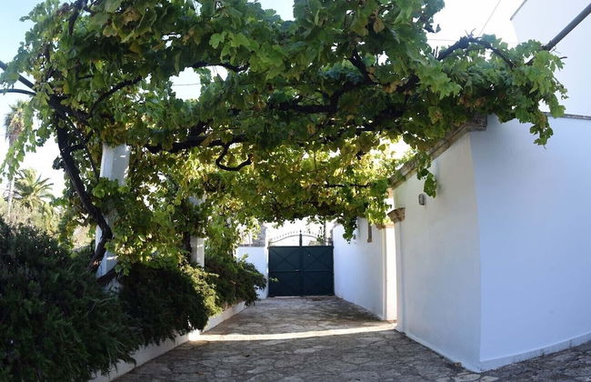 La Giara House ,near Gallipoli - Photo 34