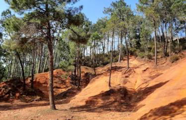 Gîte des Bartavelles - Foto 31