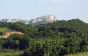 Casa Rural Gaztelubidea - Foto 22