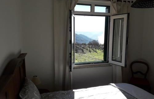 Casa da Farmácia - Foto 25