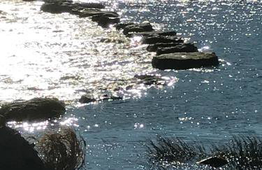 Old Camms Holiday Cottages - Photo 43