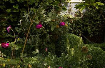 Cotswolds Escape - Foto 30