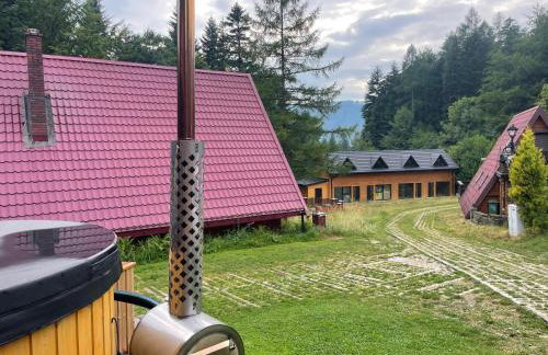 Domek OlimpijSki SZCZYRK - Foto 16