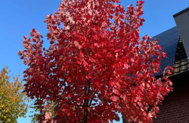 Gästezimmer Am Haarhaus - Foto 10