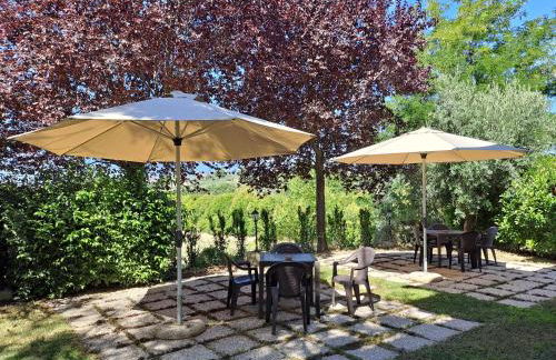 Agriturismo Fattoria colle Luca - Foto 46