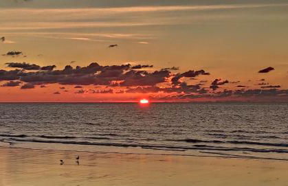 La Poulinière - Foto 21