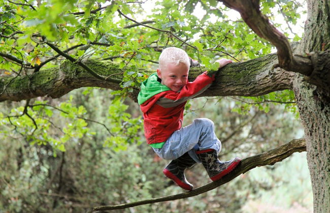 Relaxing Chalet Retreat - Foto 12