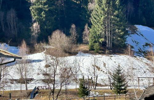 La Casetta dei Sognatori tra Santa Caterina e Bormio - Foto 19