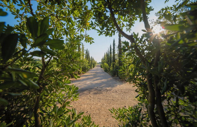 Villa Vallone Luxury With Pool - Foto 24