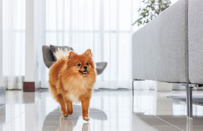 Jumeirah Living - World Trade Centre - Photo 20