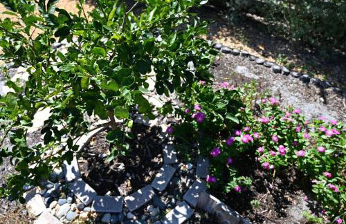 NW Bradenton Home - Less than 5 mi from IMG & AMI! - Foto 19