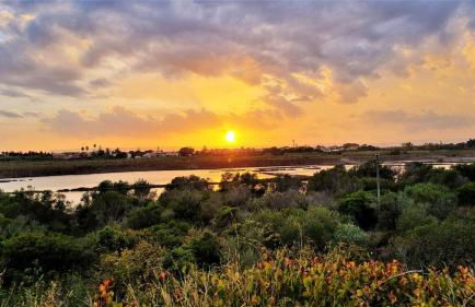 Verde Mare Isola - Foto 23