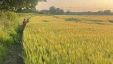 Tranquil detached barn in Sherborne St John - Foto 3