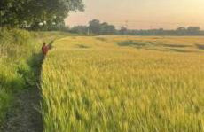 Tranquil detached barn in Sherborne St John - Foto 3