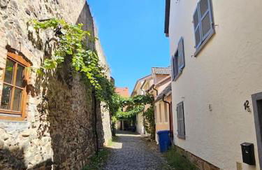 Casa Ciconia - Über den Dächern der Altstadt - Foto 15