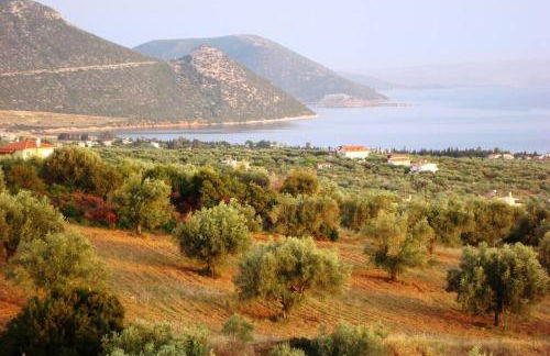 Panoramic View Summerhouse - Foto 38