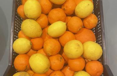 La Garrofera - Foto 23