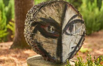 Fattoria la Loggia - Foto 28