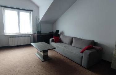 APARTAMENT W CENTRUM OLESNA - Foto 12
