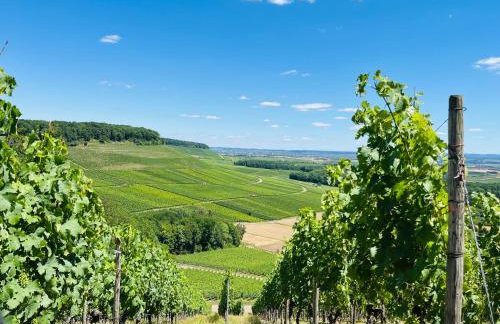 Appartments - Stromberg & Zabergäu - Foto 30