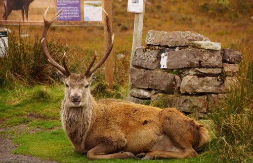 West Horizon holiday cottage - Foto 74