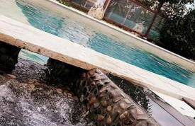 La Salamandre de l Olivier - le Mimosa - Foto 18