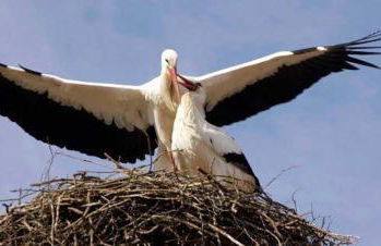 Alloggio Agrituristico Ai Tre Castelli - Foto 87