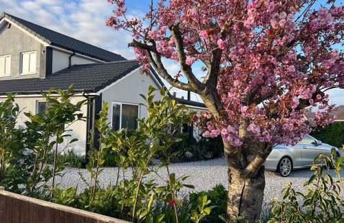 The Hideaway - Foto 2