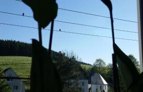 Übernachten in unseren Crutpracht Gästezimmern mit großem Bauernfrühstück, ab April 24 auch in der DUFFEL-SCHEUNE - Foto 19