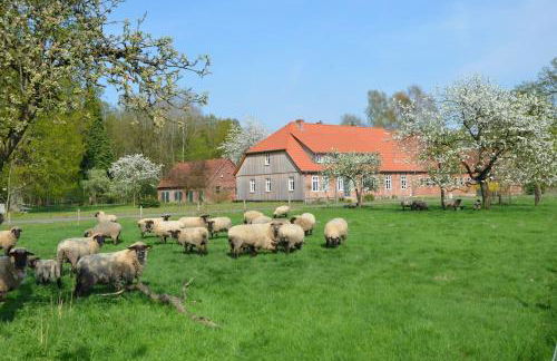 Ferienwohnung Heidjerleev - Photo 19