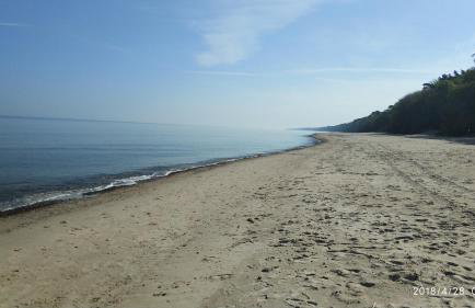 Blue Mare Rac - Foto 37