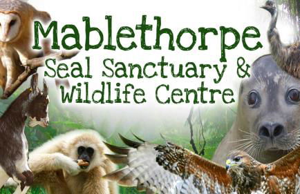 Romantic Cosy Cottage with Beach & Attractions just mins away! Perfect for Couples & Family Stays - Free Parking, Large Garden & Free WiFi - Foto 27