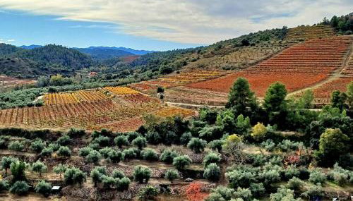 PRIORAT Ca la Iolanda "RELAX ESCALADA Y NATURALEZA" - Foto 4