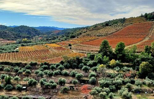 PRIORAT Ca la Iolanda "RELAX ESCALADA Y NATURALEZA" - Foto 4