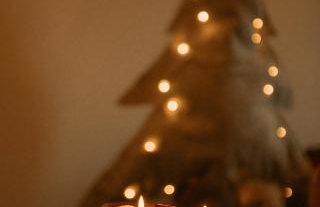 La Tana dell'Orso Bormio - Nature and Welness - Foto 54