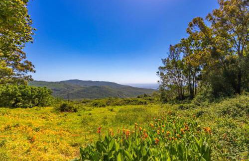 Cortijo Cantarranas - Tarifa - Foto 26