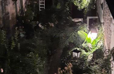 Terra-Crystal - Foto 46